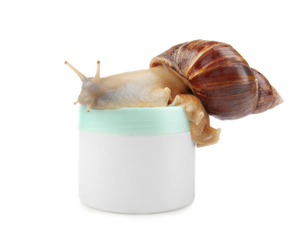Giant Achatina snail and cosmetic product  - Φωτογραφία, εικόνα