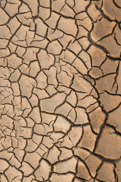 Terra seca rachada
. - Foto, Imagem