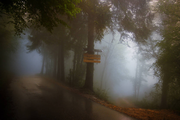 Туманная горная дорога
 - Фото, изображение