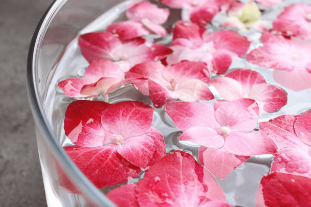 Cuenco con flores de agua y hortensia
  - Foto, imagen