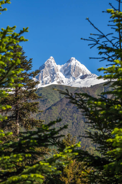 Pic du mont Ushba dans les montagnes du Caucase, région de Svanetia en Ge
 - Photo, image