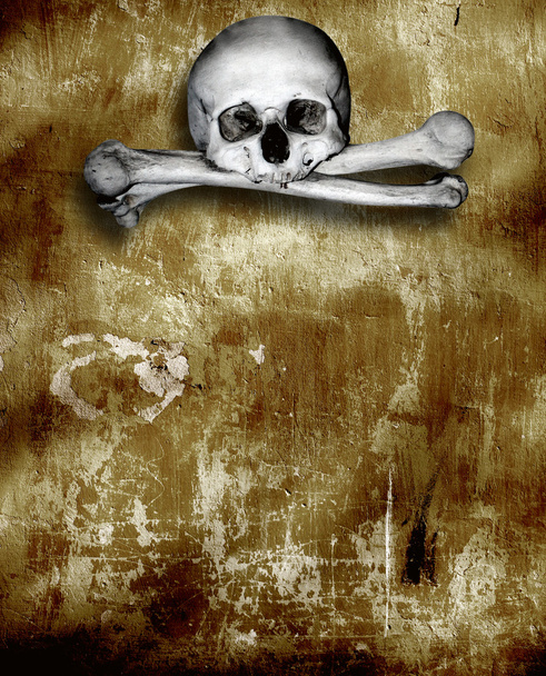 Human skulls and bones - Foto, afbeelding