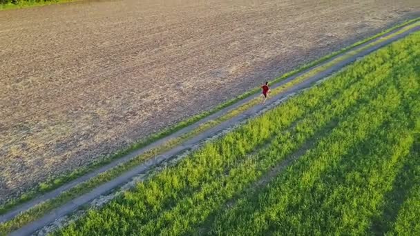 jogger in an aerial shot - Footage, Video