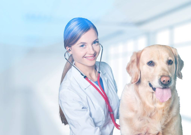  врач-женщина с собакой
 - Фото, изображение