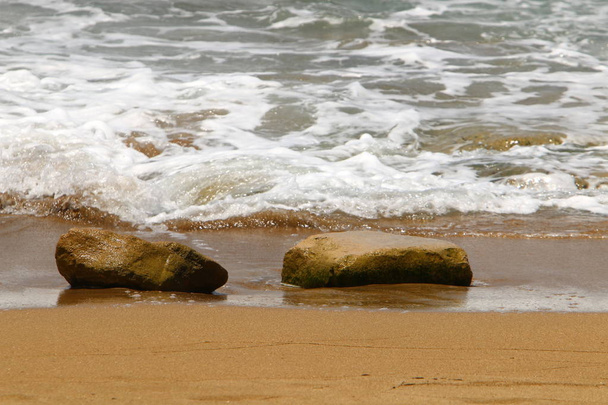 海岸で石の嘘  - 写真・画像
