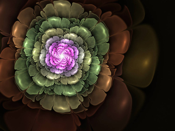 abstract flower fractal shape - Photo, Image