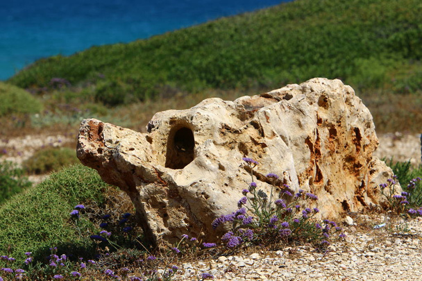 Stenen liggen aan de kust  - Foto, afbeelding
