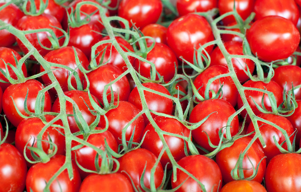 Свіжі здорові біологічні помідори на фермерському ринку
 - Фото, зображення