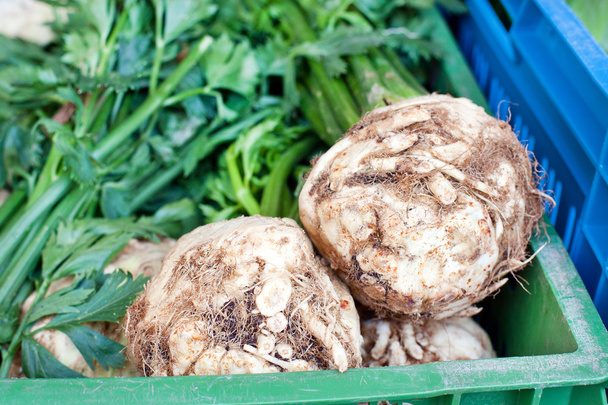 Fresh healthy bio rutabaga on farmer market - Photo, Image