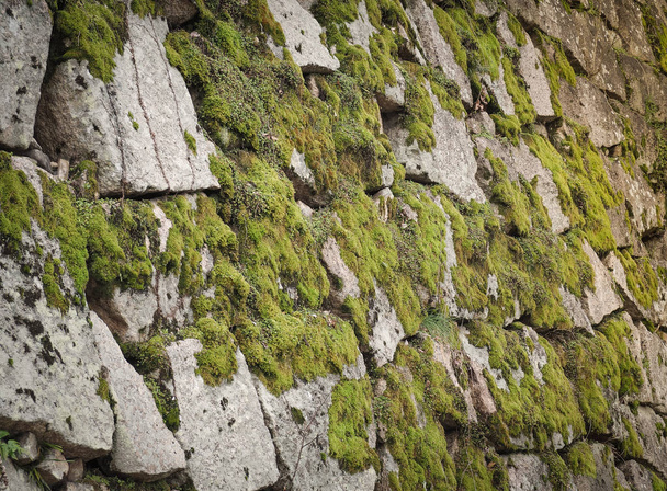 Beautiful stone with green moss in the park - Foto, imagen