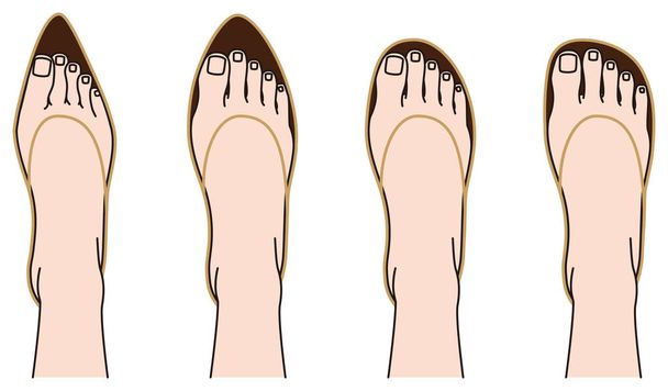 Cipő alakú és a láb - Vektor, kép
