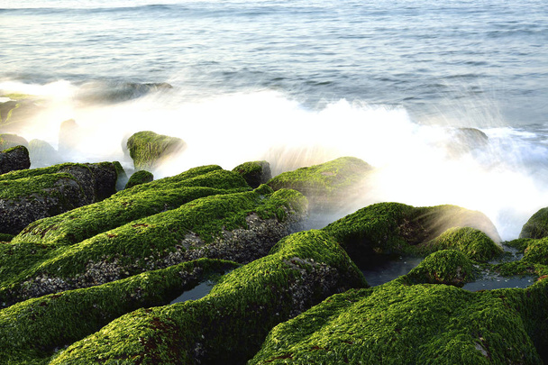 Amazing seashore with stones - Фото, изображение