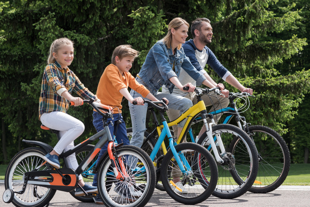 family riding bicycles - Photo, Image