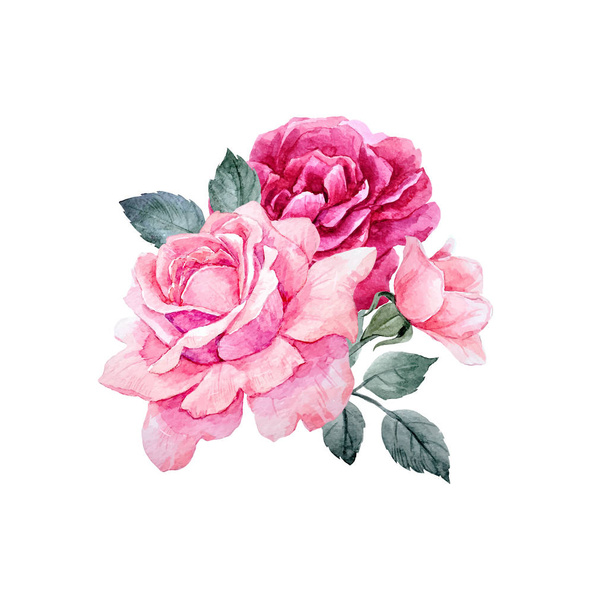 Watercolor vector roses composition - Vector, imagen