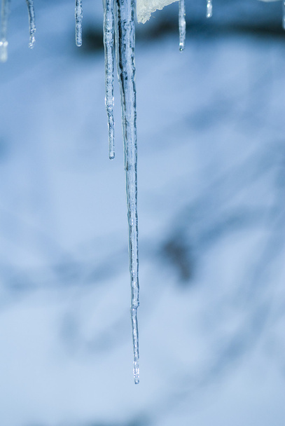 Jääpuikko
 - Valokuva, kuva