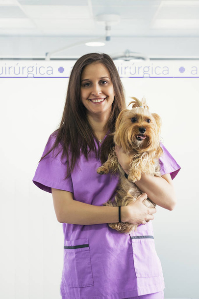 Cheerful women veterinary holding a little dog. - Photo, image