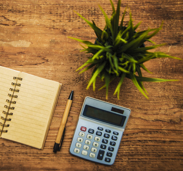 notebook, calculator, pen,  plant - Fotó, kép
