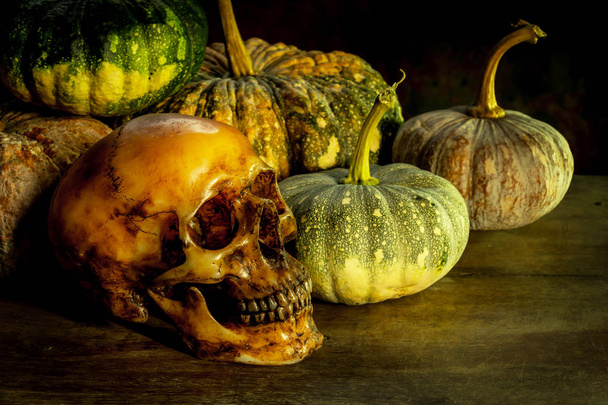 Still Life with Pumpkin and Skull - Photo, Image