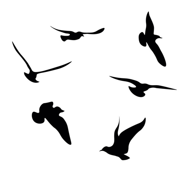 Black Seagulls Silhouettes Collection - Vector, Image