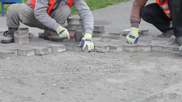 Työntekijä tekee uusia jalkakäytävällä jalkakäytävä kivi tiiliä. Kävelytien korjaus. Tiilenpäällystys
. - Materiaali, video