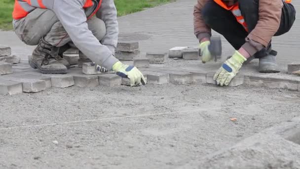Työntekijä tekee uusia jalkakäytävällä jalkakäytävä kivi tiiliä. Kävelytien korjaus. Tiilenpäällystys
. - Materiaali, video