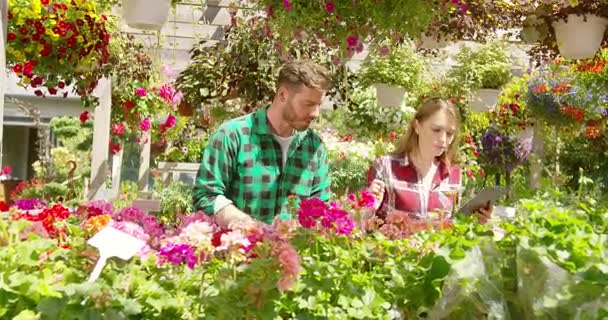 Two florists in garden - Footage, Video