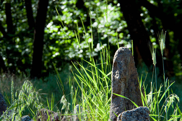 Piedras del santuario en el fondo de la hierba
 - Foto, Imagen