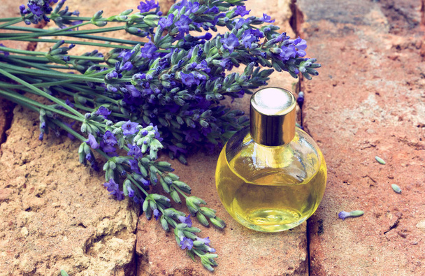 Essential  lavender oil - Photo, Image
