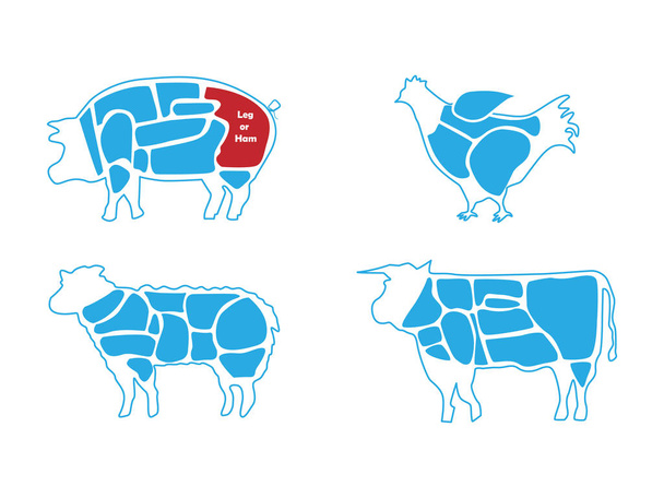Grafiği sığır eti, domuz eti, kuzu ve tavuk eti kasaplar - Vektör, Görsel