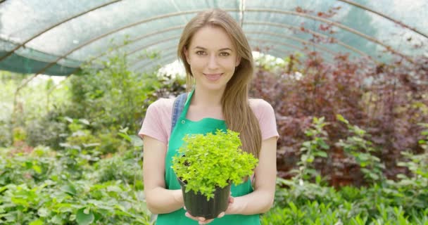 Nő cserepes növényekkel - Felvétel, videó