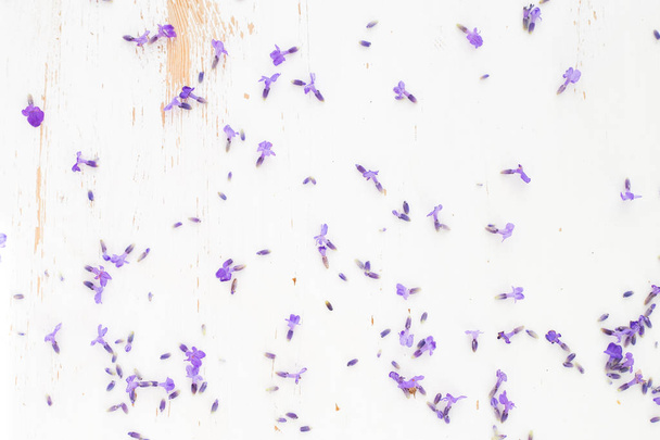 Dry lavender closeup. - Foto, imagen
