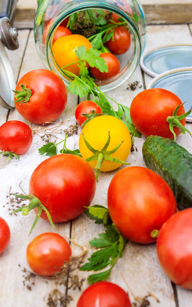 Koruma, sebze, domates ve salatalık dekapaj. Seçici odak.  - Fotoğraf, Görsel