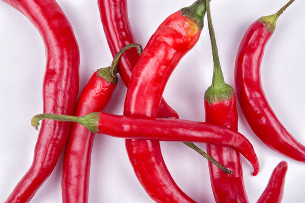 Chili pepper on white background in studio - Photo, Image