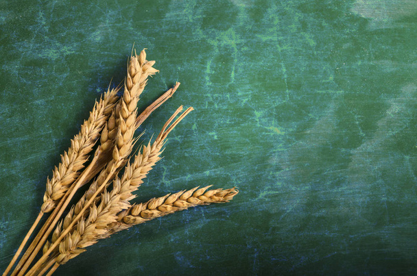 テーブルの上の小麦の穂。木材の背景上の小麦の束。収穫のコンセプト.  - 写真・画像