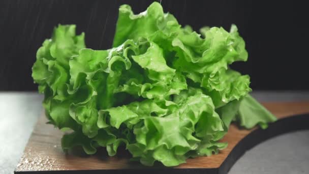 Świeże liście Zielona sałata, warzywa i warzywa, witaminy w zdrowej żywności - Materiał filmowy, wideo