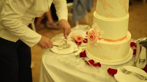 La tradición de la boda - el corte de la novia de la torta de boda y gr
 - Metraje, vídeo