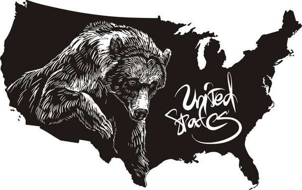 Urso-pardo e mapa do contorno dos EUA
 - Vetor, Imagem