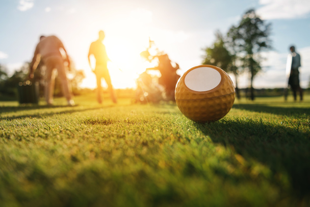 pelota de golf en la hierba - Foto, Imagen