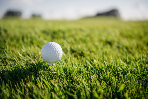 Golf ball on grass - Фото, изображение