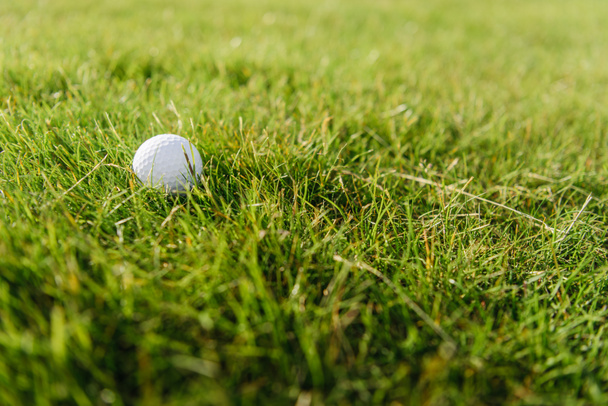 golfbal op gras - Foto, afbeelding