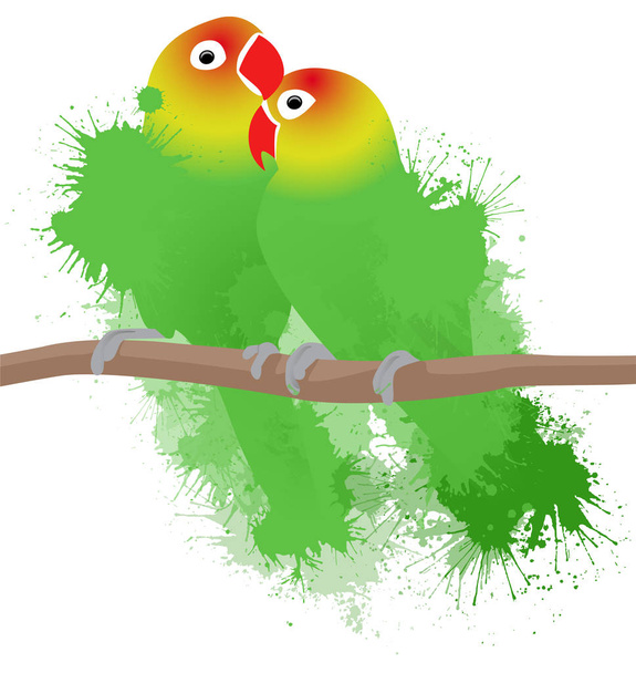 Lovebirds parrots with watercolor splashes - Vector, Imagen