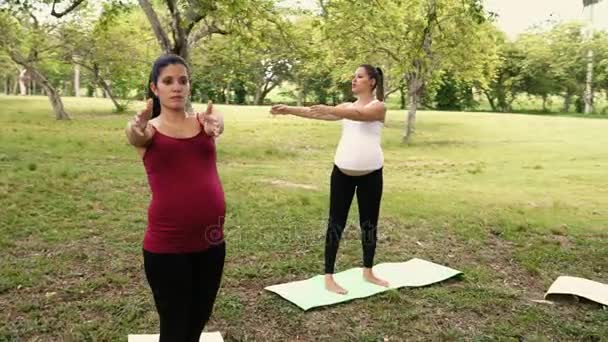 妊娠中の女性が公園でヨガ呼吸運動を行う - 映像、動画