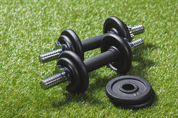 dumbbells with weight plates on grass - Photo, Image