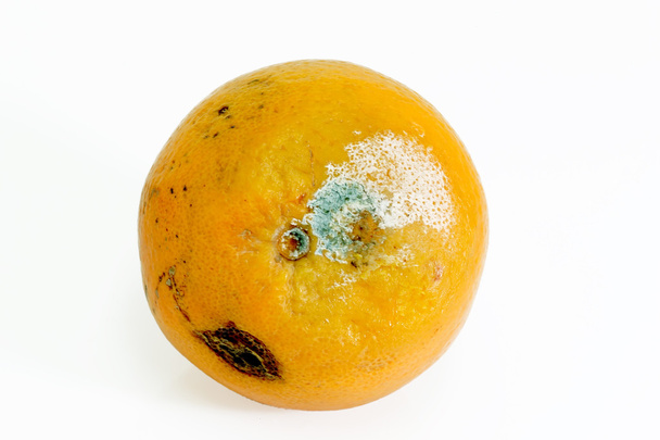 penészes narancs - Fotó, kép