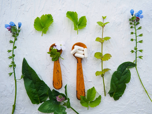 Альтернативные здоровье свежие растения и травяные капсулы в деревянной ложке на белом фоне, пространство для текста, альтернативная медицина, вегетарианство, естественная медицина
 - Фото, изображение