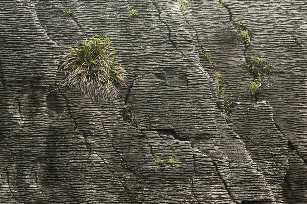 Detail of pancake rock in Punakaiki - Foto, afbeelding