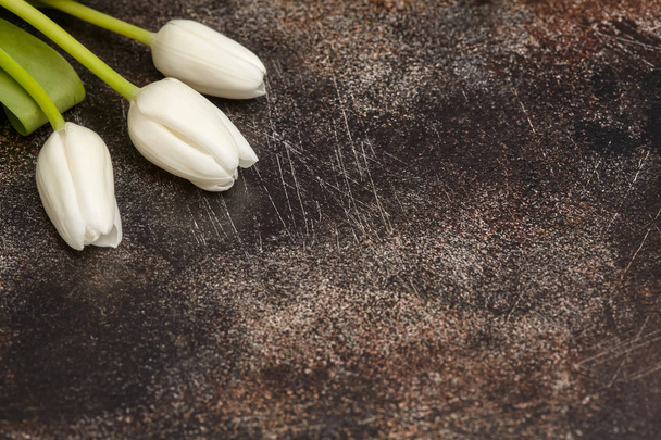 Three white tulips on brown background - Zdjęcie, obraz