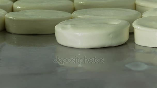 the production of soft cheese - Footage, Video