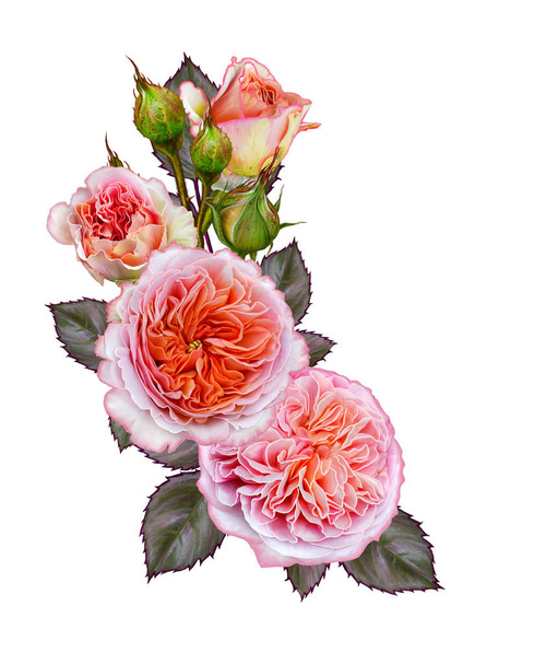 Flower arrangement of delicate pink roses. Isolated  - Zdjęcie, obraz