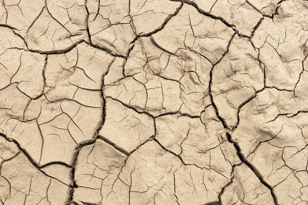 Terra seca, conceito de aquecimento global
 - Foto, Imagem